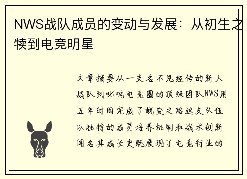 NWS战队成员的变动与发展：从初生之犊到电竞明星