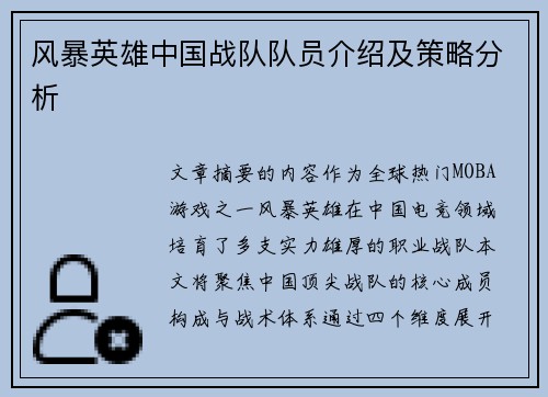 风暴英雄中国战队队员介绍及策略分析